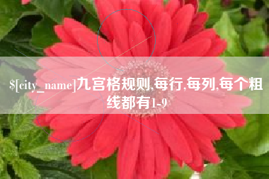 进贤九宫格规则,每行,每列,每个粗线都有1-9