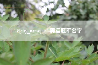 进贤2024奥运冠军名字