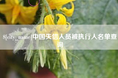 进贤中国失信人员被执行人名单查询