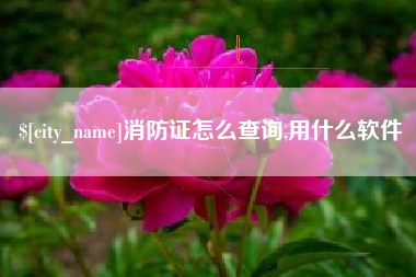 进贤消防证怎么查询,用什么软件