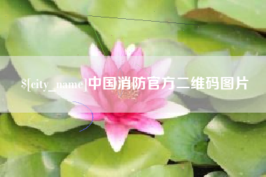 进贤中国消防官方二维码图片