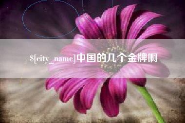 进贤中国的几个金牌啊