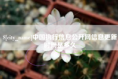 进贤中国执行信息公开网信息更新时间是多久
