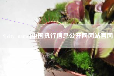 进贤中国执行信息公开网网站官网