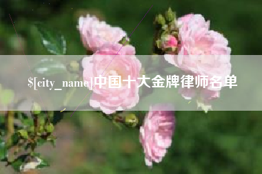 进贤中国十大金牌律师名单