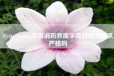 进贤中国消防救援学院对视力要求严格吗
