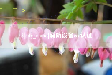 进贤消防设备ccc认证