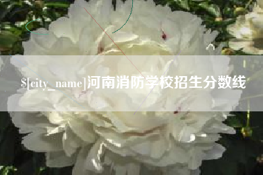 进贤河南消防学校招生分数线