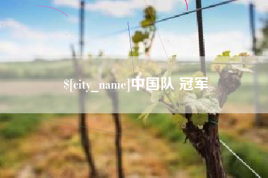 进贤中国队 冠军