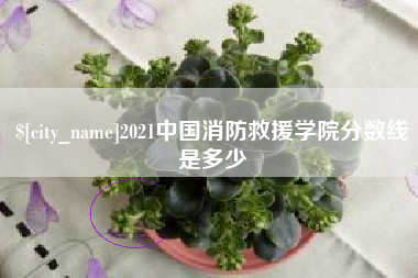 进贤2021中国消防救援学院分数线是多少
