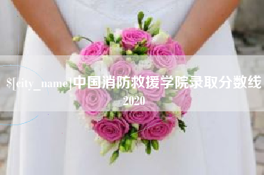 进贤中国消防救援学院录取分数线2020
