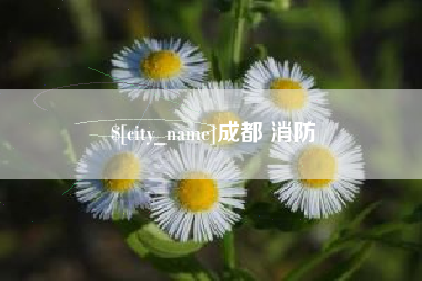 进贤成都 消防