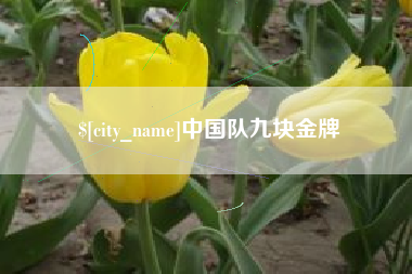 进贤中国队九块金牌