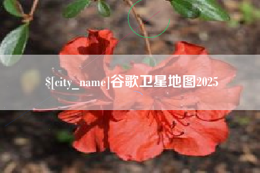 进贤谷歌卫星地图2025