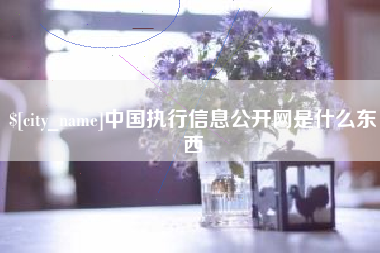 进贤中国执行信息公开网是什么东西
