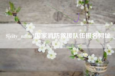 进贤国家消防救援队伍报名网址