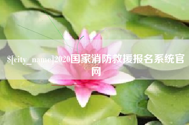 进贤2020国家消防救援报名系统官网