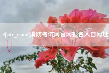 进贤消防考试网官网报名入口网址
