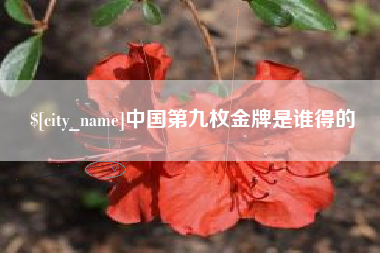 进贤中国第九枚金牌是谁得的