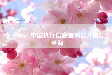 进贤中国执行信息查询公开网怎么查询