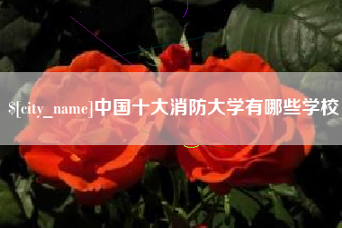 进贤中国十大消防大学有哪些学校
