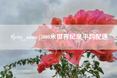 进贤5000米世界纪录平均配速
