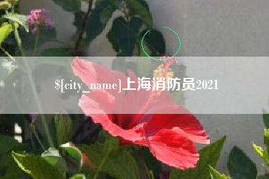 进贤上海消防员2021