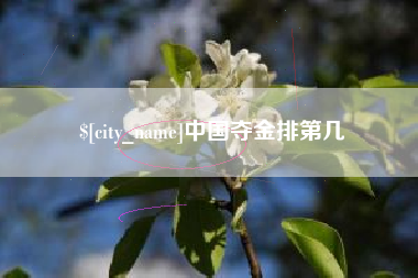 进贤中国夺金排第几