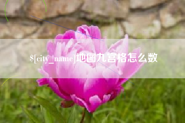 进贤地图九宫格怎么数