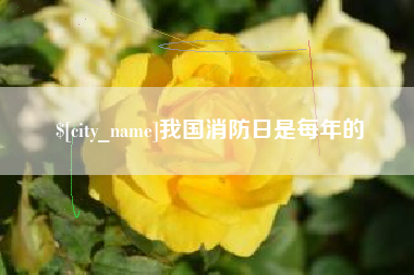 进贤我国消防日是每年的