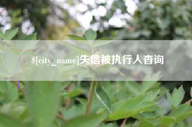 进贤失信被执行人杳询