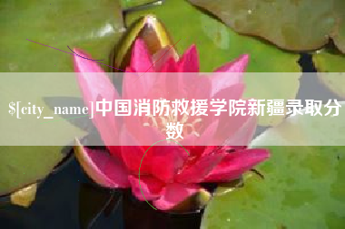 进贤中国消防救援学院新疆录取分数