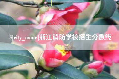 进贤浙江消防学校招生分数线