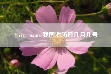 进贤我国消防日几月几号