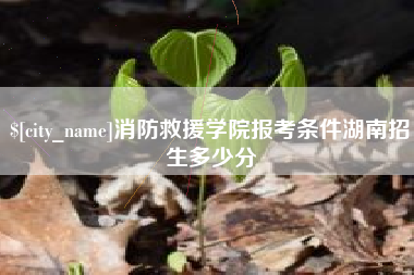进贤消防救援学院报考条件湖南招生多少分