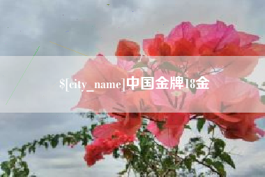进贤中国金牌18金