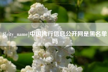 进贤中国执行信息公开网是黑名单吗