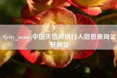 进贤中国失信被执行人信息查询公开网址