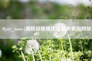 进贤消防设施操作员证书查询网址