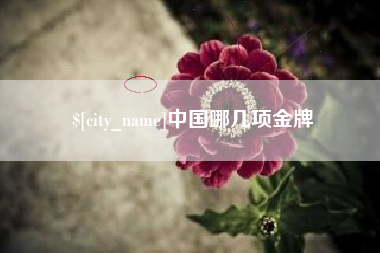 进贤中国哪几项金牌