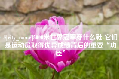 进贤5000米世界冠军穿什么鞋-它们是运动员取得优异成绩背后的重要“功臣”