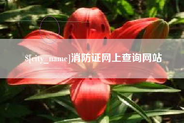 进贤消防证网上查询网站