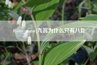 进贤九宫为什么只有八卦