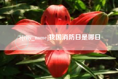进贤我国消防日是哪日