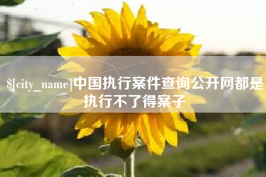 进贤中国执行案件查询公开网都是执行不了得案子