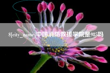 进贤中国消防救援学院是985吗
