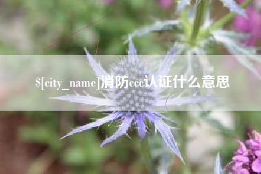 进贤消防ccc认证什么意思