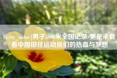 进贤男子5000米全国记录-更是承载着中国田径运动员们的热血与梦想