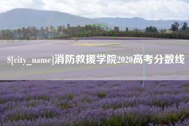 进贤消防救援学院2020高考分数线
