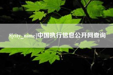 进贤中国执行信息公开网查询